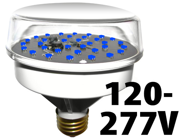 120V Blue LED Light Engine